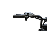 The King Goat V2