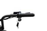 The King Goat V2