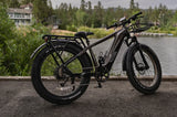 High-Quality eBike with 52V 750W Motor - 17AH Long Range