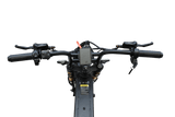 The King Goat V2